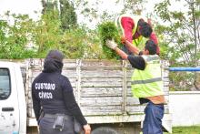 Servicio Comunitario