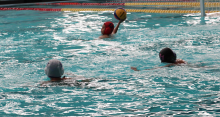 POLO AGS 2022