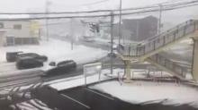 Nevadas en Japón 