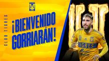 Gorriarán Tigres