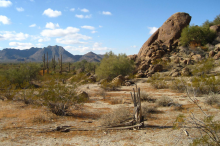 desierto arizona