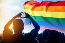 lgbt+