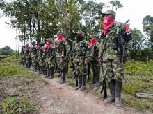 ELN 