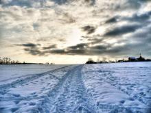 Nieve