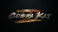 cobra kai