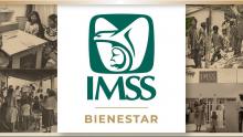“No les quedaba de otra”; Aplaude Morena adhesión del estado al INSABI