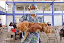 Esterilización 