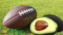 Este Super Bowl invitan a consumir aguacate de Calvillo