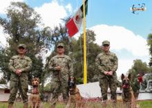 Perritos mexicanos rescatistas emprenden labor en Turquía