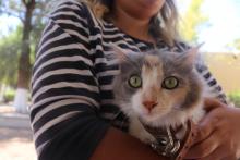 La Caravana de la Salud Canina y Felina llegará al Pabellón de Arteaga