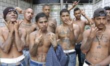 Pandilleros 