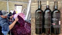 Egresado de la UTNA soñó en grande y hoy fabrica su propio vino tinto