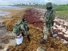 Militares hallan 20 kilos de cocaína entre sargazo