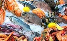 Venta de Mariscos