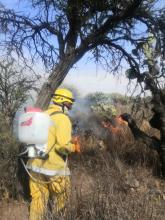 incendio 