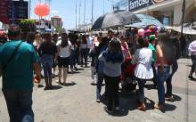 Violencia FNSM