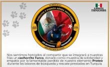 Cachorro nuevo 