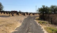 El cuerpo fue localizado en un rancho en el Municipio de Asientos, en donde el feminicida vivía y trabajaba