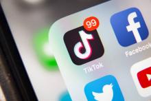 Unidad Cibernética de Sonora elimina 81 cuentas de TikTok 
