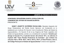 iniciativa 