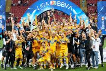 TIGRES CAMPEONES