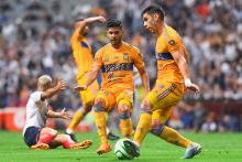 TIGRES A LA FINAL