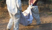 Un hombre que buscaba tierra para macetas hizo el hallazgo de los restos 