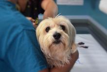 Hospital Veterinario