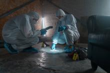 Jalisco registra cerca de 12 mil carpetas de investigación por homicidio 