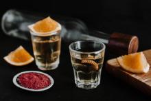 Impulsa México la producción de mezcal en 13 estados 