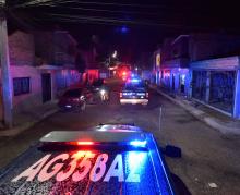 Seguridad Pública