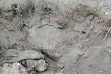 Colectivo Madres Buscadoras de Jalisco descubre fosa clandestina con más de 20 cuerpos 