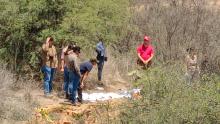 El hallazgo fue a la orilla de la carretera que conecta la Comunidad de La Tomatina con Los Arquitos en el Municipio de Jesús María