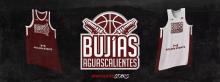 BUJÍAS DE AGUASCALIENTES