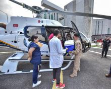 Donación de órganos