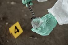 Costa Rica advierte sobre alarmante aumento de asesinatos y producción de cocaína 