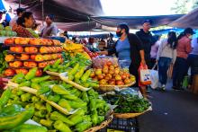 INEGI estima que el crecimiento económico fue de 4% en junio