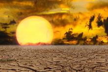Este 4 de julio el planeta registró la temperatura más alta de la historia