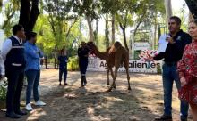 Parque Hidalgo