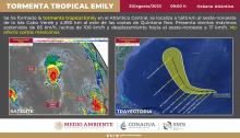 Emily 