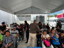 Migrantes 