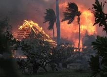 Hawaianos se están lanzando al océano para huir.