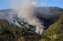 Incendios forestales
