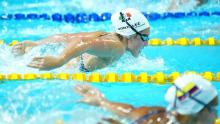 Federación Mexicana de Natación