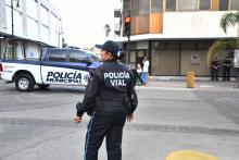 Fiestas Patrias