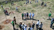 Bosque de Cobos 