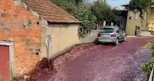 El sótano de una casa cercana a la destilería se inundó de vino. 
