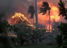 Baja de 115 a 97 el número de víctimas mortales en incendios de Hawái tras revisión