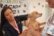 Caravana de la Salud Canina y Felina