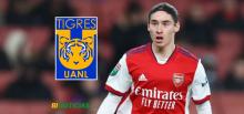 TIGRES MARCELO FLORES